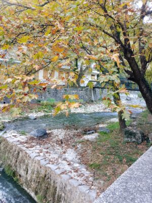 28-30/11/2026 ΛΟΥΤΡΑ ΠΟΖΑΡ – ΒΕΡΟΙΑ – ΕΔΕΣΣΑ – ΠΑΝ. ΣΟΥΜΕΛΑ